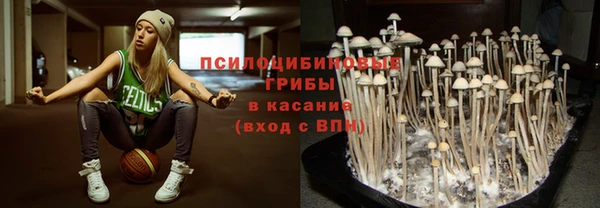МДПВ Абинск