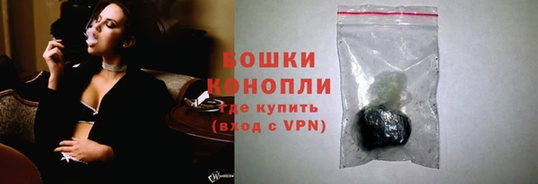ГАЛЛЮЦИНОГЕННЫЕ ГРИБЫ Дмитриев