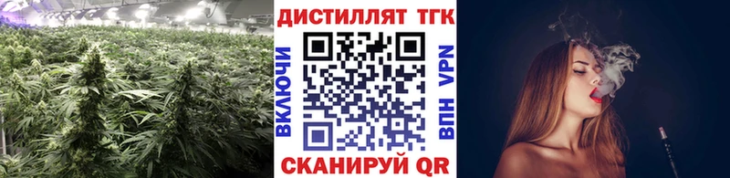 ссылка на мегу   продажа наркотиков  shop как зайти  Дистиллят ТГК гашишное масло  Бийск 