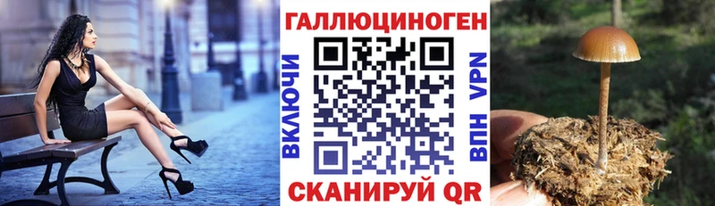 Галлюциногенные грибы мухоморы где можно купить наркотик Бийск