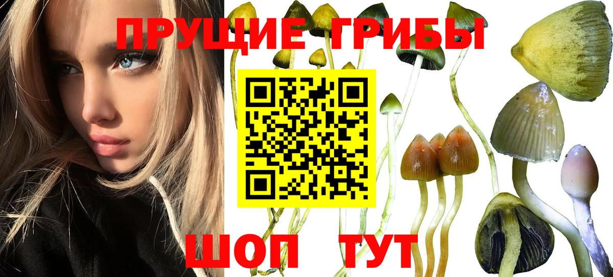 Галлюциногенные грибы мухоморы Бийск